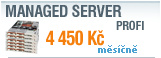 MANAGED SERVER - PROFI